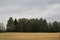 Barley field has already been harvested.