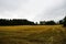 Barley field has already been harvested.