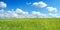 Barley field over blue sky