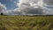 Barley field on sunny cloudy day, 4K