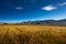 Barley field at Tso Moriri Lake. India, Ladakh