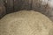 Barley grain in old barrel