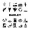 barley grain wheat icons set vector