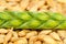 Barley Grains and Green Ear Macro