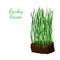 Barley grass, wheat. Vegetarian food. Cartoon flat style. Vector illustration