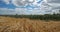 Barley and onion fields , Loiret depatment, France.