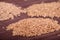 Barley seed or barley grains and pearl barley - Close-Up.