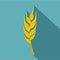 Barley spike icon, flat style
