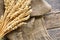 Barley Stalks and Old Burlap Fabric