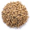 Barley, unhulled h. vulgare seeds, paths, top