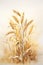 Barley and wheat watercolour illustration. Ripe ears of barley. Watecolor painting