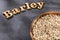 Barley word in wooden letters - Hordeum vulgare