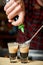 Barman make alcoholic shots with rum and liquor