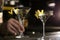 Barman serving glasses of lemon drop martini cocktail on counter