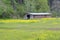 Barn amid wildflowers