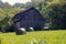 Barn captured in a countryside with covered hays in front of it