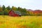 A barn in the colors of fall