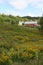 Barn	, in distance