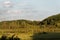 Barn in the distance on top of a hill