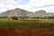 Barn for drying tobacco in Cuban countryside