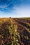 Barn At The End Of The Furrows