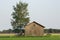 Barn in Farmfield by Tree