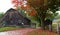 Barn, fence, and red maple leaves