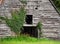 Barn Front overgrown with ivy and weeds