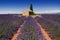 Barn in Lavender Field on the Plateau de Valensole