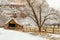 Barn and orchard in winter