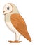 Barn owl bird on a white background