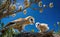 A barn owl feeding her baby chick on a branch, with blurred blue sky and tree branches background, side view generative AI