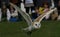 Barn Owl in Flight