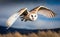 A barn owl in flight in blurred blue sky background, side view, generative AI