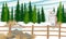 A barn owl sits on a fence in front of a winter spruce forest