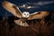 barn owl spread the wings flying in the filed at night in the cloudy sky, ai generated