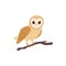 Barn-owl widely distributed species of owl, flat vector illustration isolated.