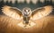 A barn owl with wings wide open in blurred yellow grass background, front view, generative AI
