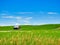 Barn in Palouse Hills