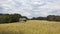 Barn and pasture