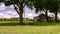 Barn in a pecan grove