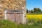 Barn in rapeseed