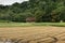 Barn and rice paddy where rice stalks were harvested.