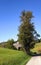 Barn Sits at Roadside With Tall Tree