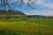 Barn on summer swiss green field