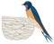 barn swallow nest bird vector illustration transparent background