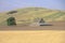 A barn and wheat field