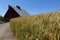 Barn and Wheat Field in Northern Idaho