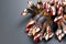 Barnacles, goose neck barnacle, percebes, gallician barnacles. Pollicipes pollicipes