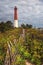 Barnegat Lighthouse